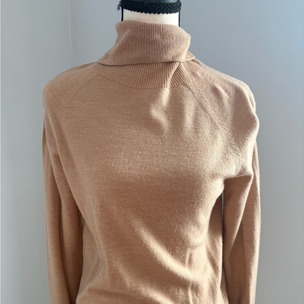 Banana Republic Merino Wool turtleneck sweater